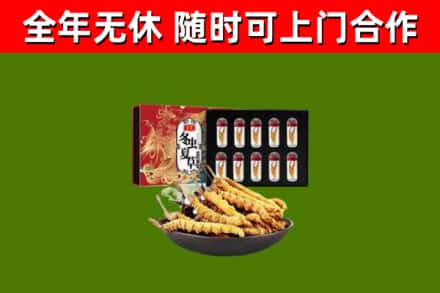 高坪烟酒回收冬虫夏草礼盒.jpg