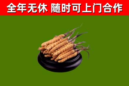 高坪烟酒回收冬虫夏草.jpg